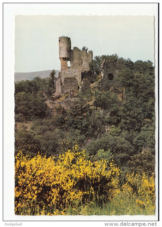 couleur vert (12).jpg